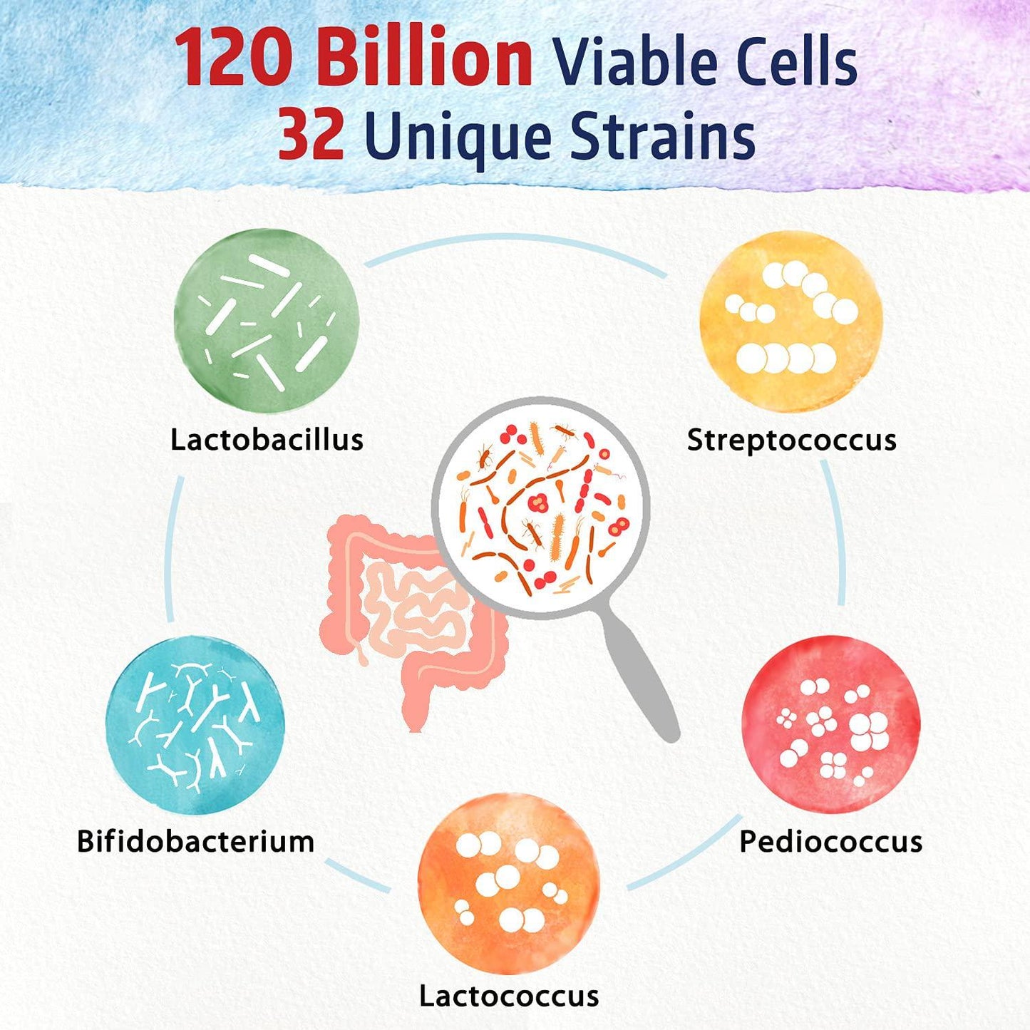 BonaFine 3-in-1 Daily Probiotics 120 Billion CFU 32 Strains with Organic Soluble Prebiotic, Natural Digestive Enzyme for Gut Health, Digestion and Immunity, Shelf-Stable Delayed-Release, 30 Veggie Caps