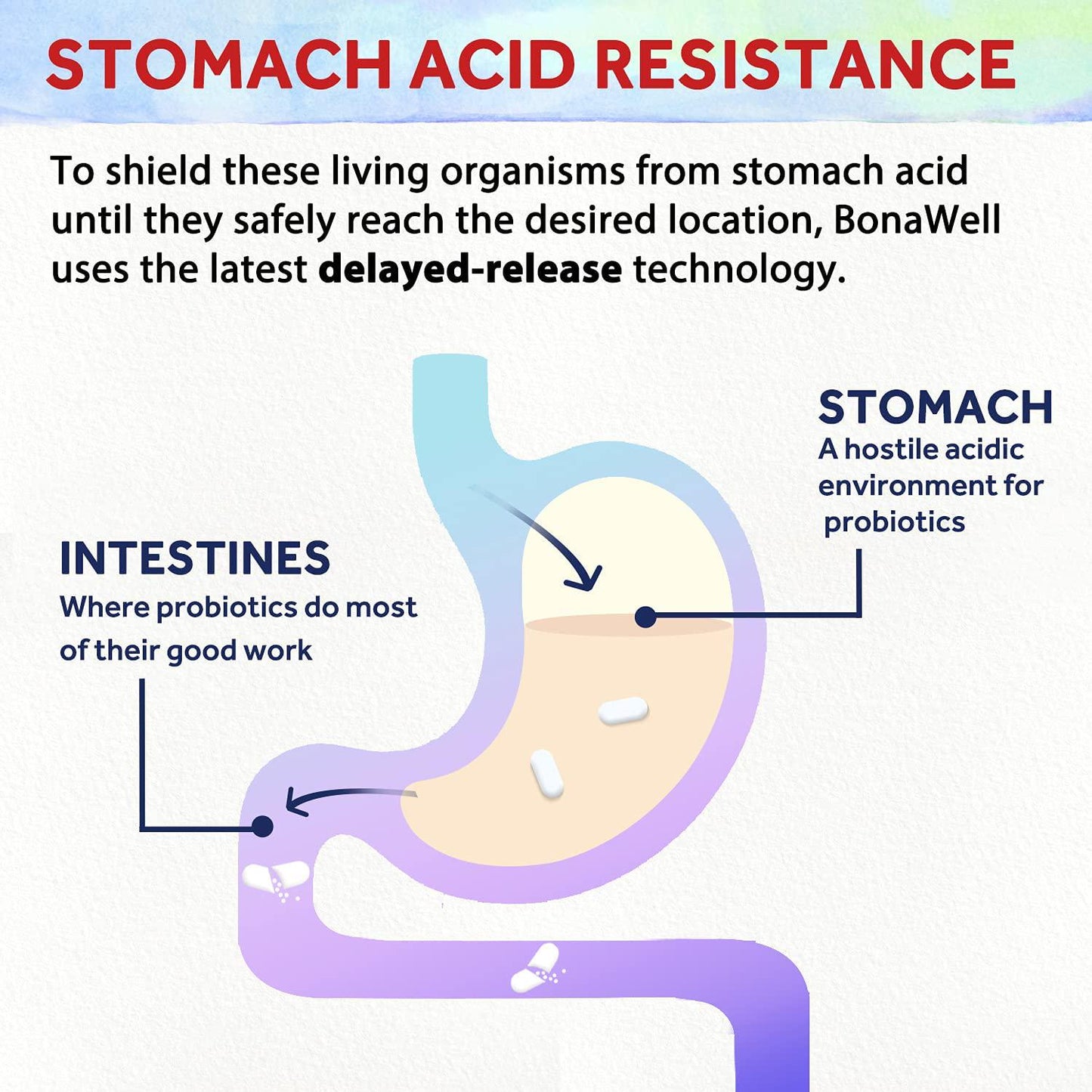 BonaFine 3-in-1 Daily Probiotics 120 Billion CFU 32 Strains with Organic Soluble Prebiotic, Natural Digestive Enzyme for Gut Health, Digestion and Immunity, Shelf-Stable Delayed-Release, 30 Veggie Caps