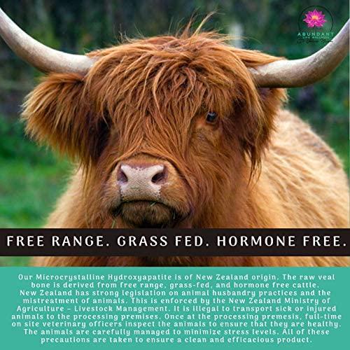 Bone Builder with Calcium; Magnesium; Boron, Silica, Vandadium, D3 and More to Help Ease and Strengthen Bones by Dr. Valerie Nelson