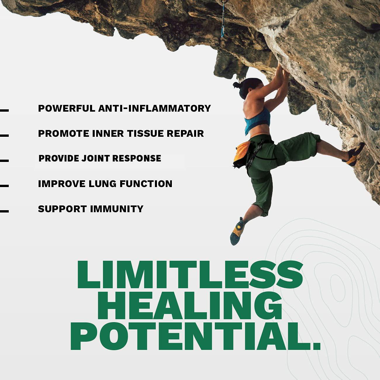 Boswellia Complex with Boswellin Super Ginger Extract and Bioperine - 120 Easy Swallow Vegan Capsules - Superior Absorption - Joint Support Mobility Shiftiness Relief Cartilage Gut Respiratory Health