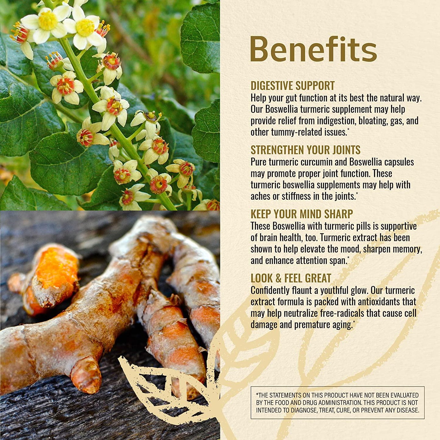 Boswellia Frankincense 100 Capsules 500 mg | Filled With Boswellia Serrata Extract | Contains 65% Boswellic Acids | Supports Muscle and Joint Health | Strengthens the Immune System | Improves Gut Func