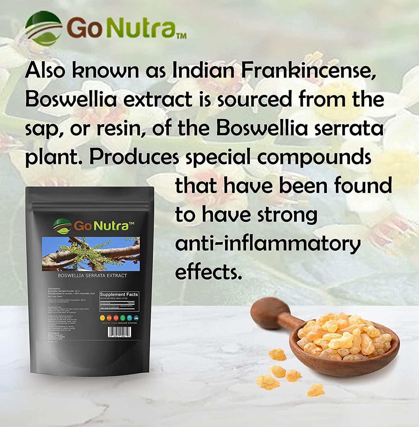 Boswellia Serrata Extract Powder 10:1 Strength 65% Boswellic Acid Frankincense Supplement Joint Support - 8 oz.