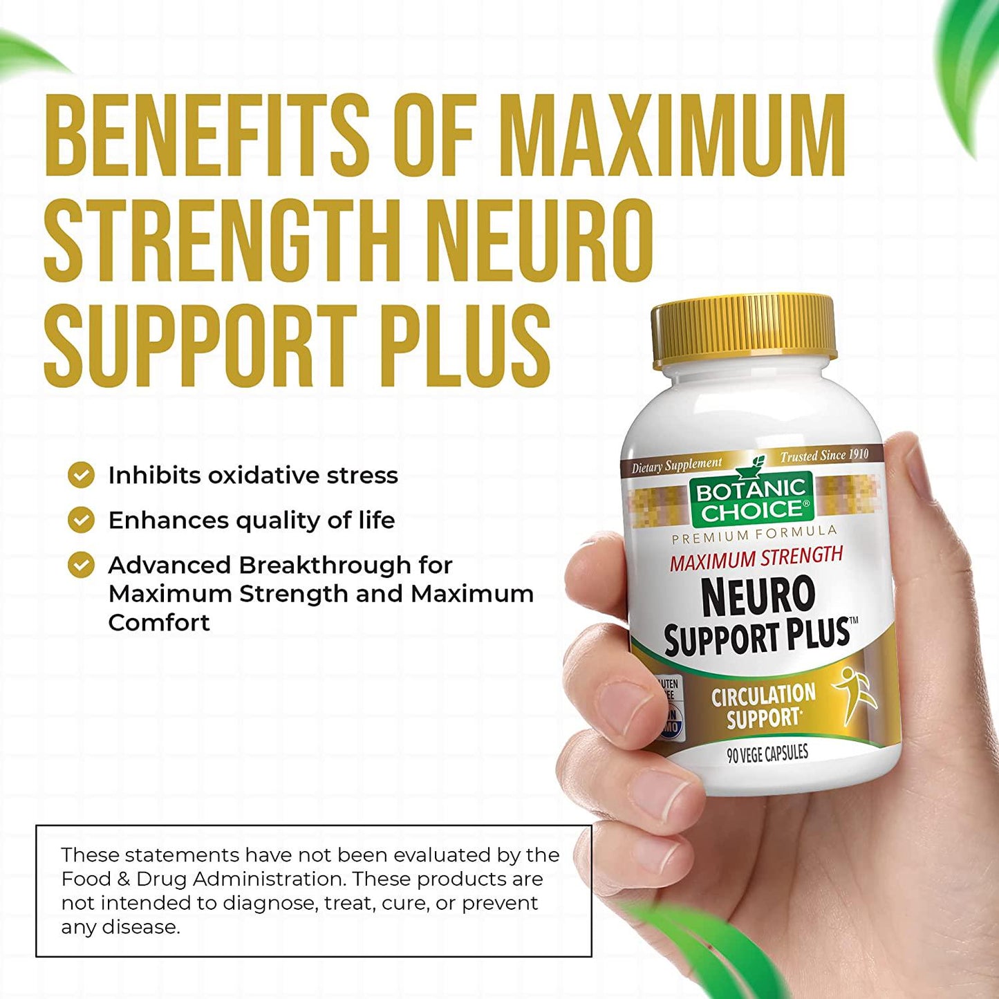 Botanic Choice Maximum Strength Neuro Support Plus - Adult Daily Supplement - Delivers Essential Vitamins to Support Nerves Healthy Circulation and Blood Sugar Levels 90 Capsules