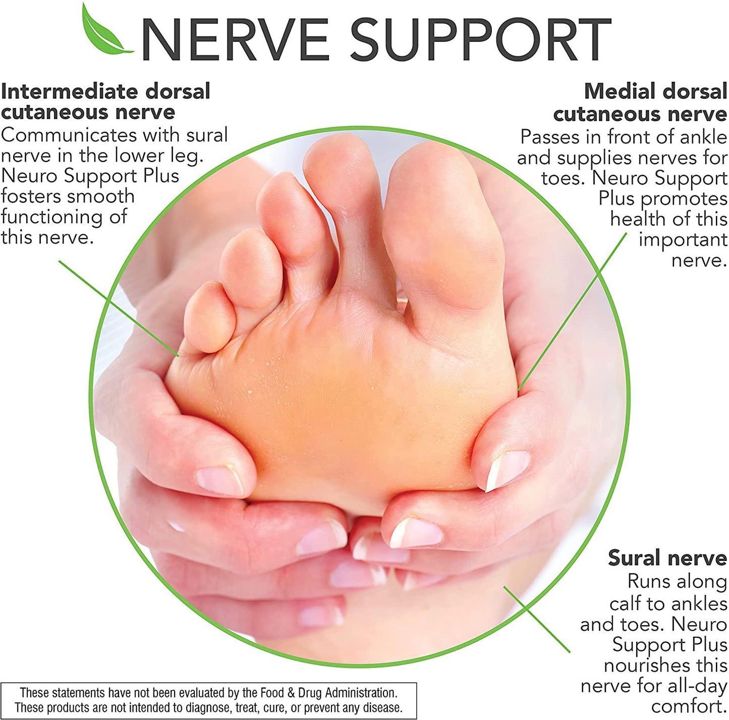 Botanic Choice Neuro Support Plus, 60 Ct - for Healthy Feet and Nerves; Circulatory Support for Your Feet and Leg Comfort; Vitamin for Nerve