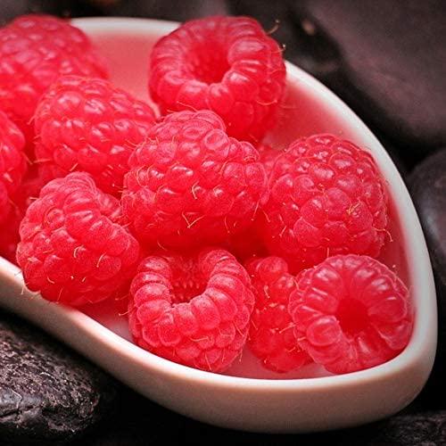 Botanical Path Collagen Beauty Greens - Apple Coconut, Apple Coconut, 324 grams