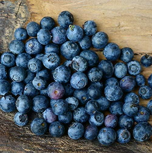 Botanical Path Collagen Beauty Greens - Apple Coconut, Apple Coconut, 324 grams