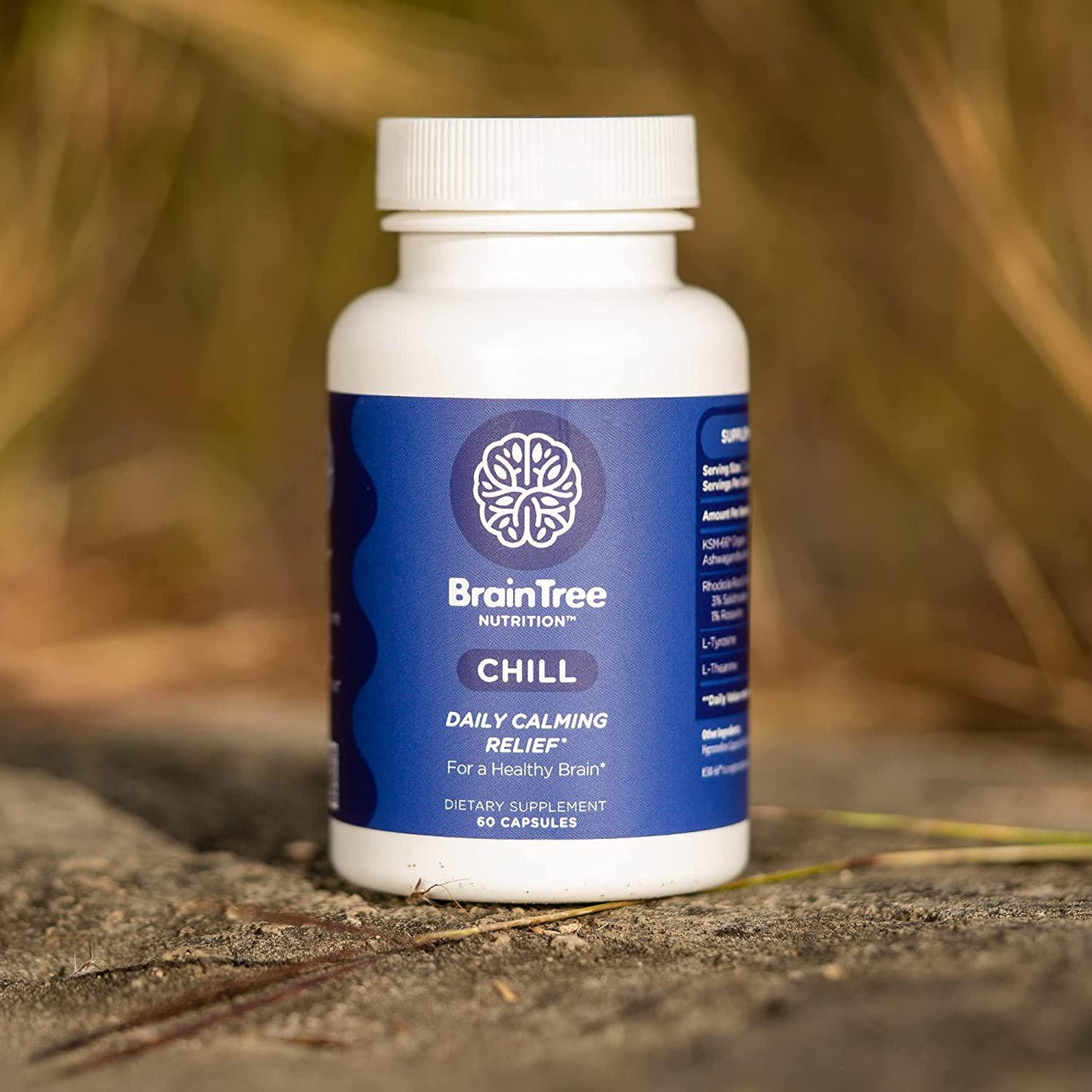 BrainTree Nutrition CHILL | Daily Calming Relief* for A Healthy Brain* | Promotes Stress Relief, Calmness, Mood* | Capsules: 60 (1 Bottle)