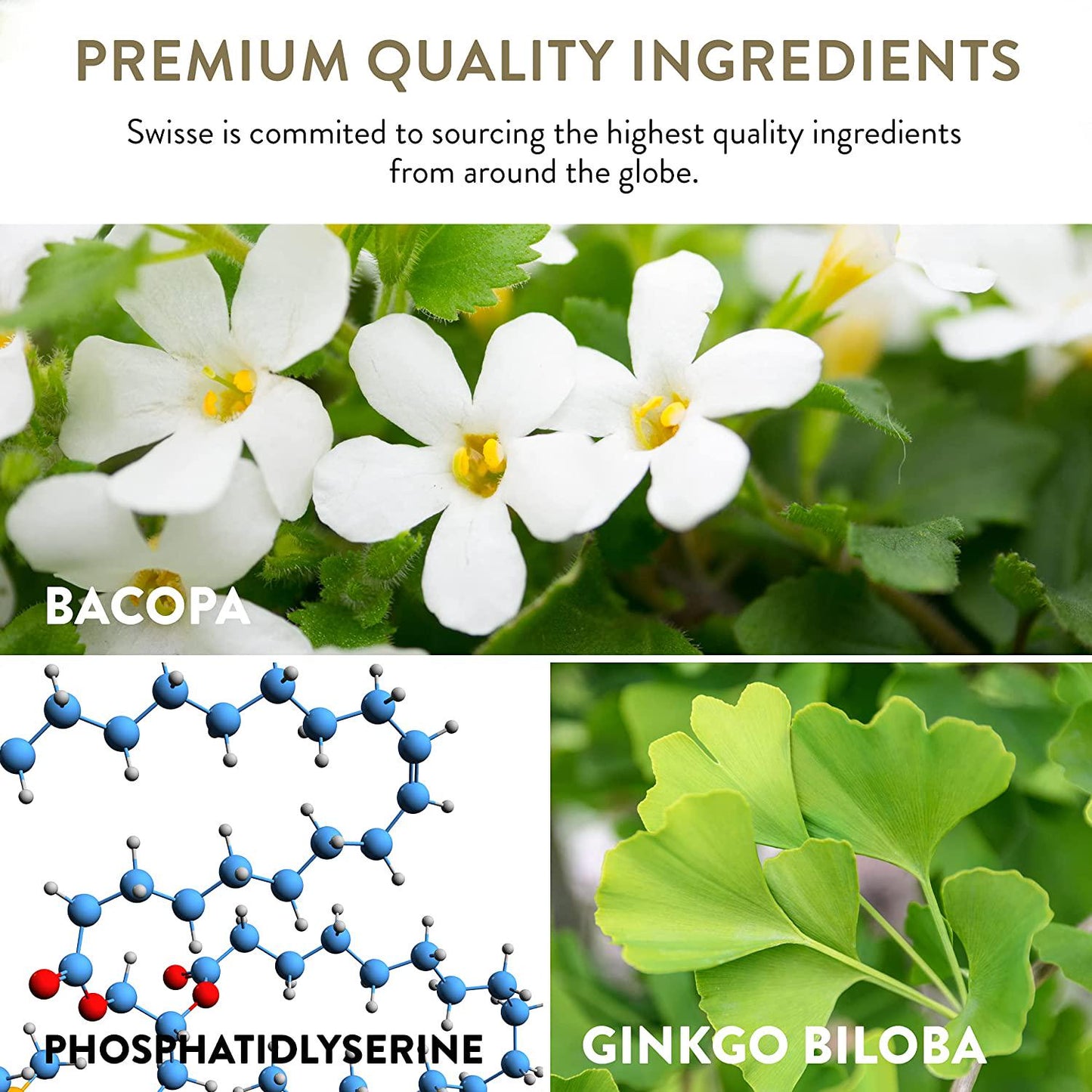 Brain Health Probiotics 3 Billion CFU |Probiotics for Women, Probiotics for Men and Adults, Alleviate Mental Stress, Supporting Cognitive Function, Natural | Shelf Stable | 30 Servings