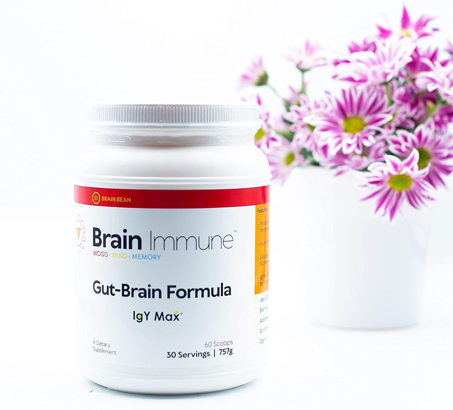 Brain-Immune