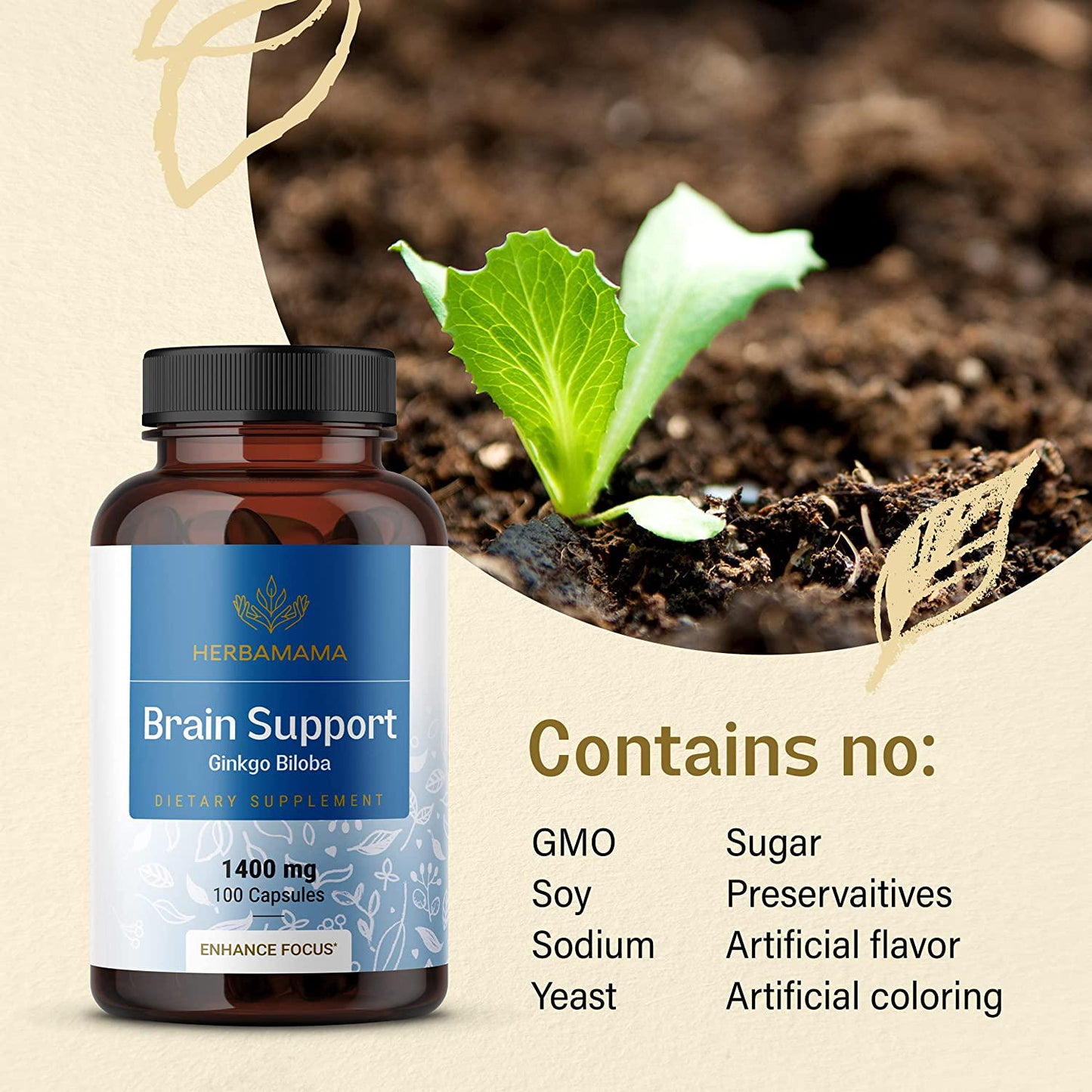 Brain Supplement 1400 mg per Serving | Filled with Ginkgo Biloba, Panax Ginseng, Bacopa Monnieri, Ashwagandha | Brain Booster for Enhanced Mental Focus, Memory, Clarity | Promotes Energy Performance