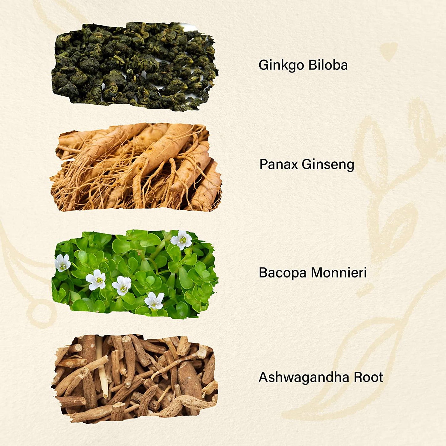 Brain Supplement 1400 mg per Serving | Filled with Ginkgo Biloba, Panax Ginseng, Bacopa Monnieri, Ashwagandha | Brain Booster for Enhanced Mental Focus, Memory, Clarity | Promotes Energy Performance