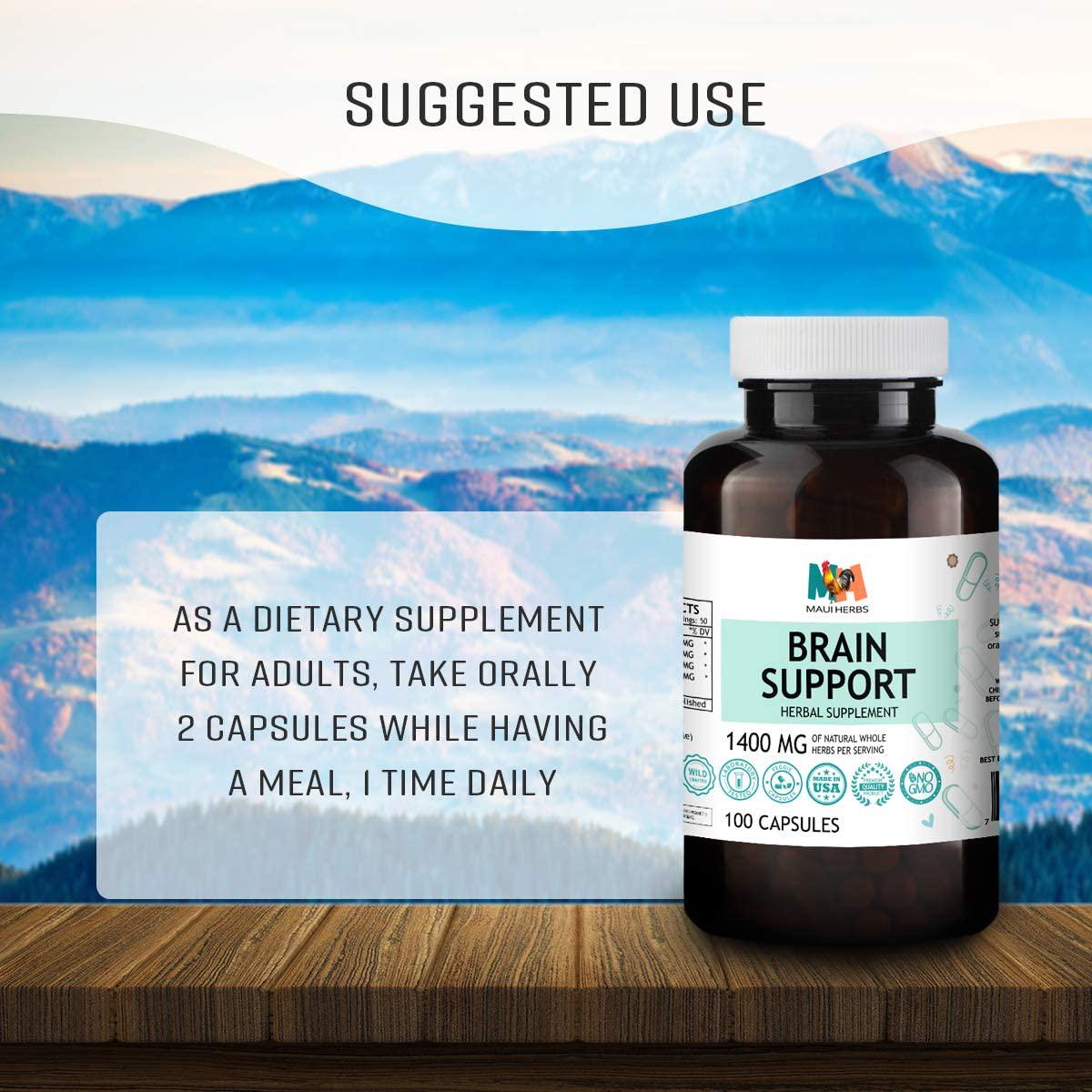 Brain Support 100 Capsules, 1400 MG per Serving (Ginkgo Biloba, Panax Ginseng, Bacopa Monnieri, Ashwagandha)