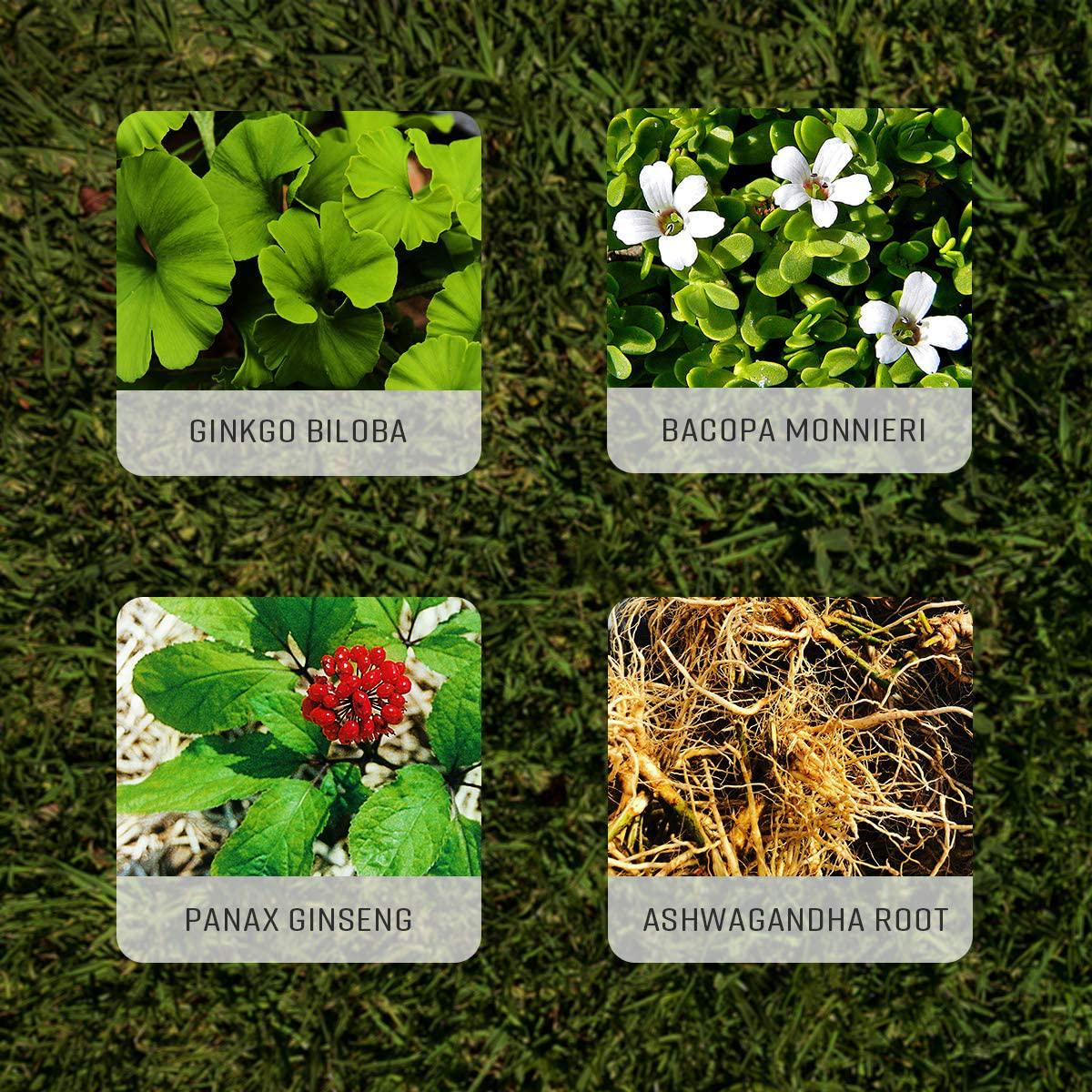 Brain Support 100 Capsules, 1400 MG per Serving (Ginkgo Biloba, Panax Ginseng, Bacopa Monnieri, Ashwagandha)