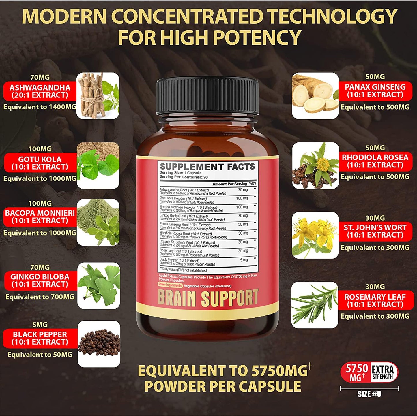 Brain Support, Helps Memory and Focus, Accuracy and Concentration, Energy Support. Highest Potency with Ashwagandha, Gotu Kola, Rhodiola Rosea.*