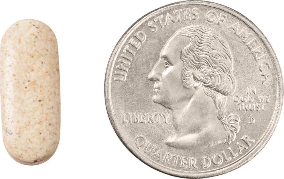 Brand - Revly Lysine + C Complex, 1000 mg L-Lysine and 66 mg Vitamin C per Serving (2 Tablets), Supports Immune Health, 90 Tablets, Gluten Free
