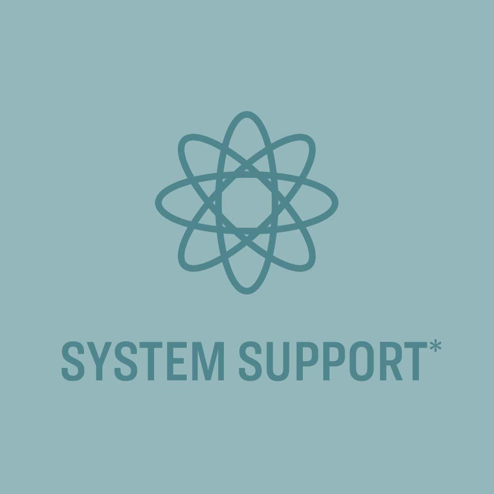 Brand - Revly Lysine + C Complex, 1000 mg L-Lysine and 66 mg Vitamin C per Serving (2 Tablets), Supports Immune Health, 90 Tablets, Gluten Free