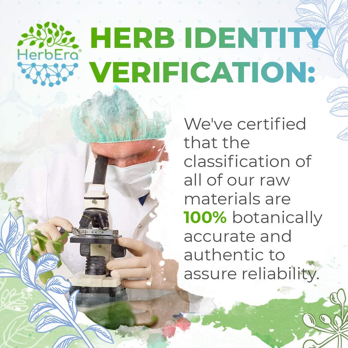 Buchu B120 Alcohol-Free Herbal Extract Tincture, Organic Buchu (Agathosma Betulina) Dried Leaf (4 fl oz)