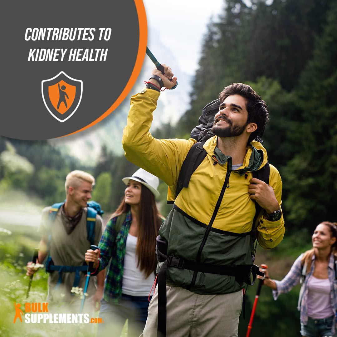 BulkSupplements.com Chitosan Powder - Chitosan Supplements for Kidney Support - Fiber Supplement - Cholesterol Supplements - Kidney Supplement (1 Kilogram - 2.2 lbs)