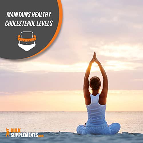 BulkSupplements.com Berberine HCl Powder - HCl Supplement - Berberine 500mg Supplement - Berberine Supplements - Berberine HCl 500mg Powder (25 Grams - 0.88 Oz)