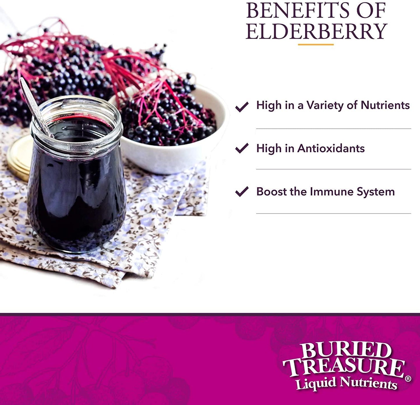Buried Treasure Elderberry ACF with 4,000 mg Elderberry Sambucus Whole Fruit Concentrate, Vitamin C Plus Raw Local Honey Liquid Immune Support 16 oz