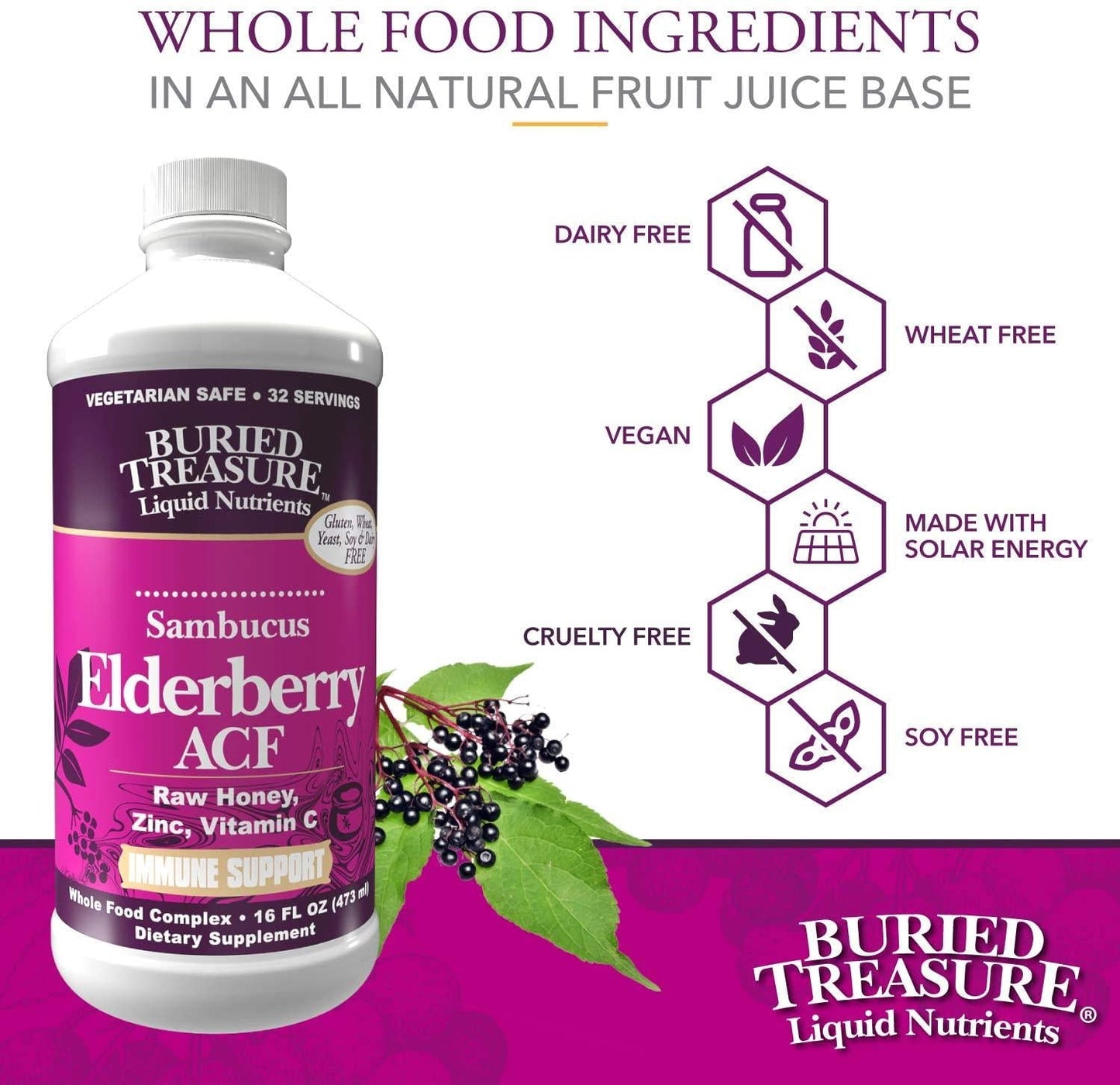 Buried Treasure Elderberry ACF with 4,000 mg Elderberry Sambucus Whole Fruit Concentrate, Vitamin C Plus Raw Local Honey Liquid Immune Support 16 oz