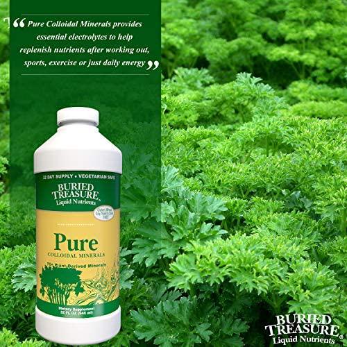 Buried Treasure Pure Colloidal Minerals 70 Plus Plant Derived Minerals from Eden Era Natural Plant Based Nutritional Supplement Liquid Bio-Available for Fast Absorption and Assimilation. 32 oz