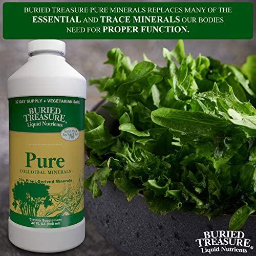 Buried Treasure Pure Colloidal Minerals 70 Plus Plant Derived Minerals from Eden Era Natural Plant Based Nutritional Supplement Liquid Bio-Available for Fast Absorption and Assimilation. 32 oz