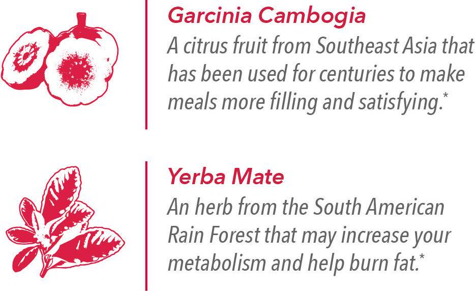 Burn + Control Coffee, Premium 100% South American Arabica, Robusta Blend Coffee, Weight Management Herbs, Garcinia Cambogia and Yerba Mate, Javita