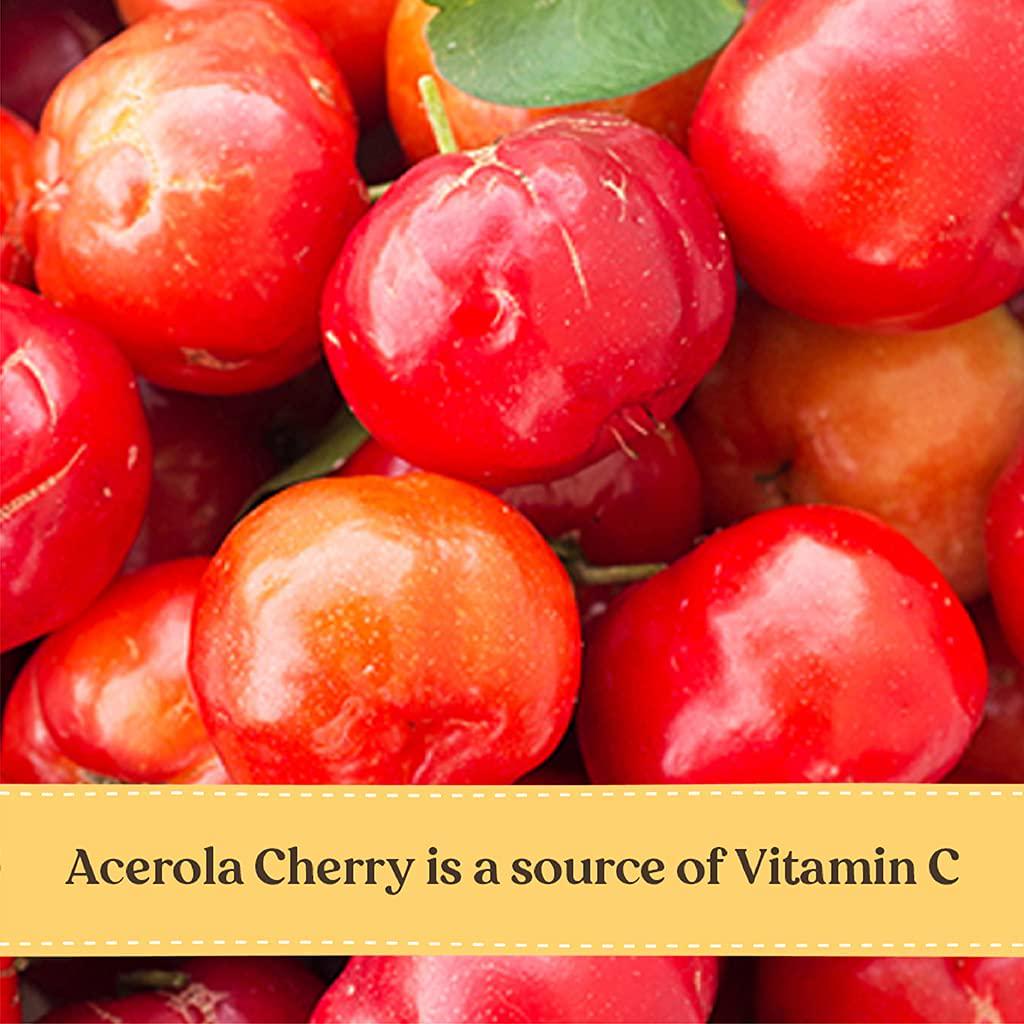 Burt's Bees Kids Immune Support Gummies, 50 Count