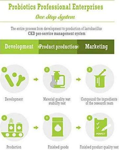 CKD LACTO-FIT ProBiotics Green 2000mg * 60EA (Total 120g)