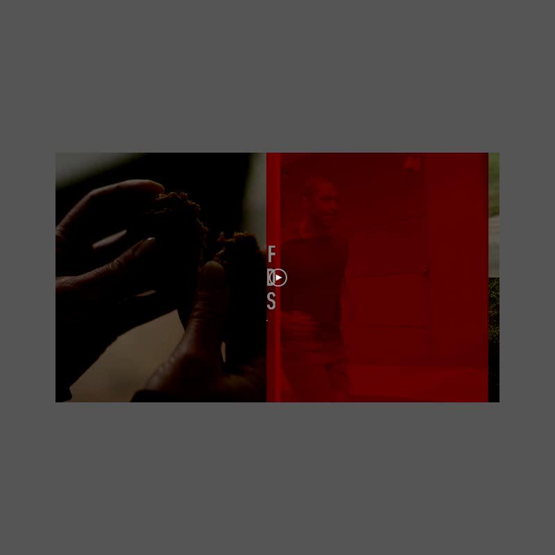 CLIF BARS - White Chocolate Macadamia - 10 Full Size and 10 Mini Energy Bars - Made with Organic Oats - Plant Based - Vegetarian - Kosher (2.4oz and 0.99oz Protein Bars, 20 Count) Exclusive