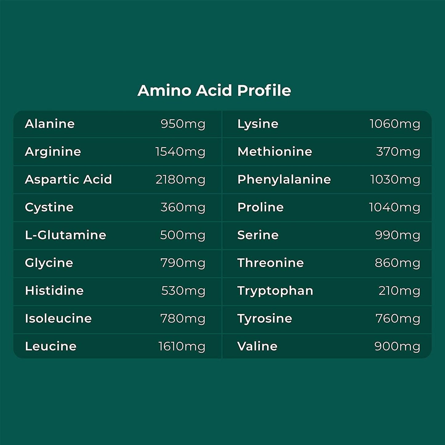 CYMBIOTIKA Plant-Based Protein Powder, Vanilla Flavored, 20g of Protein, 5g of Low Net Carbs, Take Pre or Post Workout, Soy-Free, Gluten-Free, Keto, Vegan - 2 lbs (Pack of 1)