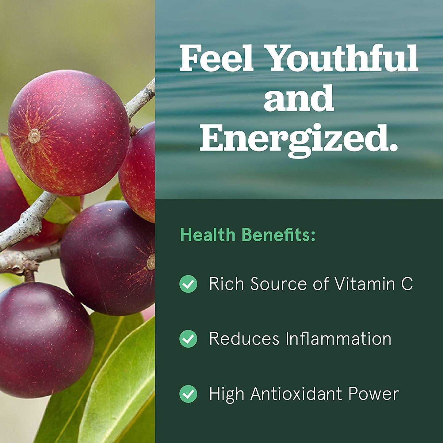 Camu Camu Capsules 150ct