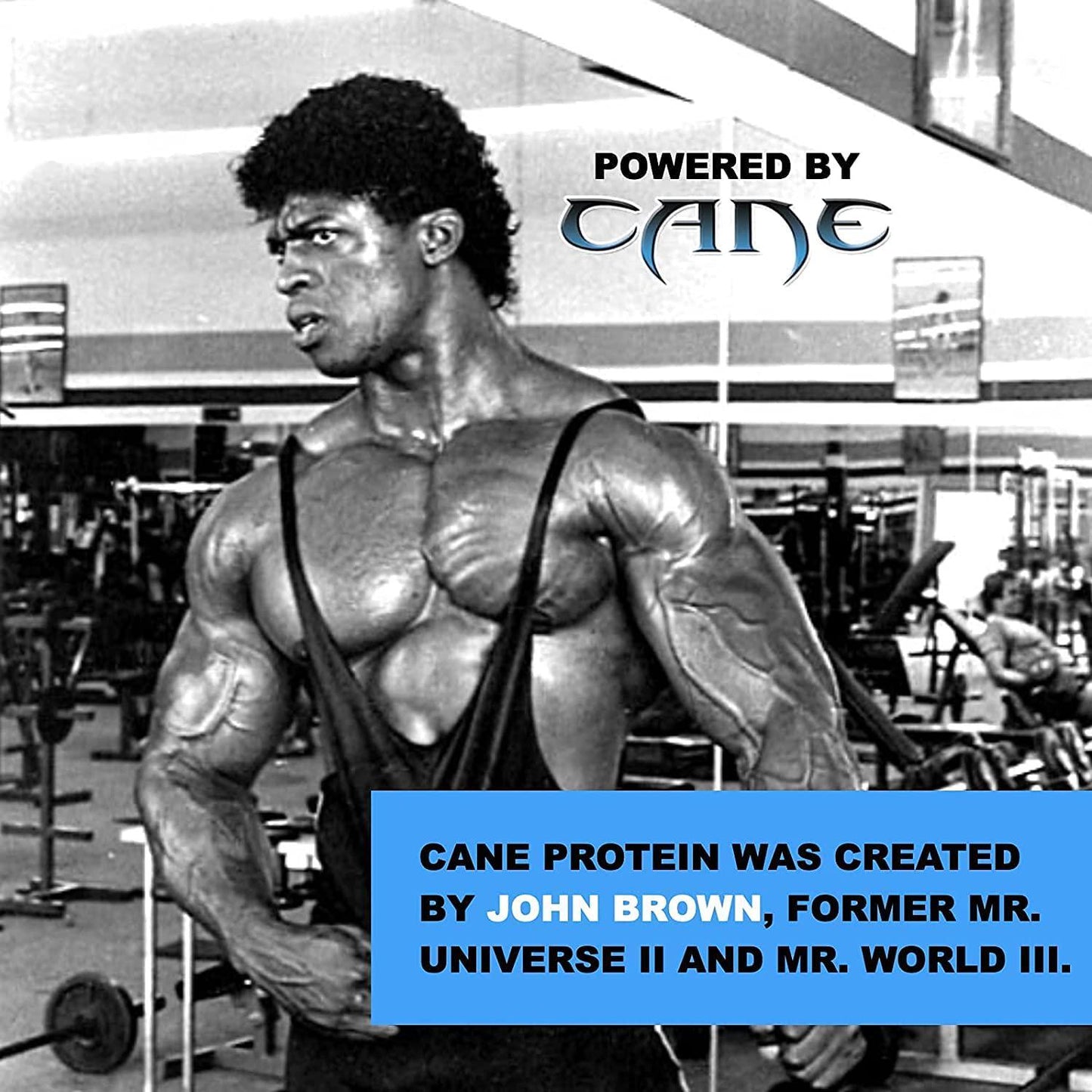 Cane Protein - Vanilla Whey Powdered Drink Mix Used by Professional Athletes - 3 LBS (41 Servings)