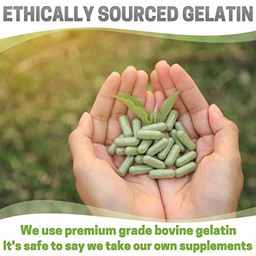 Capsules Express- Size 3 Green and Yellow Empty Gelatin Capsules- Kosher Certified - Gluten-Free Pure Bovine Gelatin Pill Capsule - DIY Powder Filling (500)