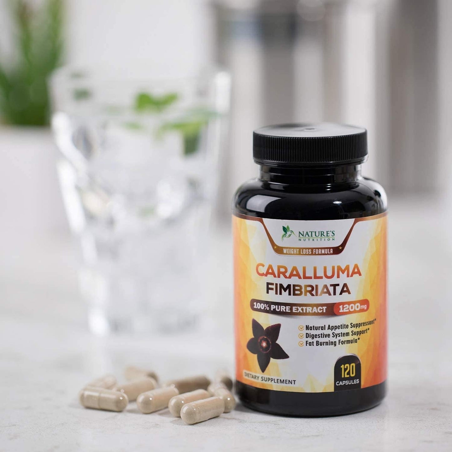 Caralluma Fimbriata Extract Highly Concentrated 1200mg - Natural Endurance Support, Best Vegan Supplement for Men and Women, Non-GMO - 120 Capsules