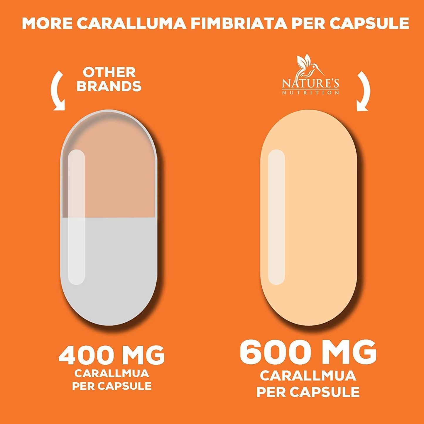 Caralluma Fimbriata Extract Highly Concentrated 1200mg - Natural Endurance Support, Best Vegan Supplement for Men and Women, Non-GMO - 120 Capsules