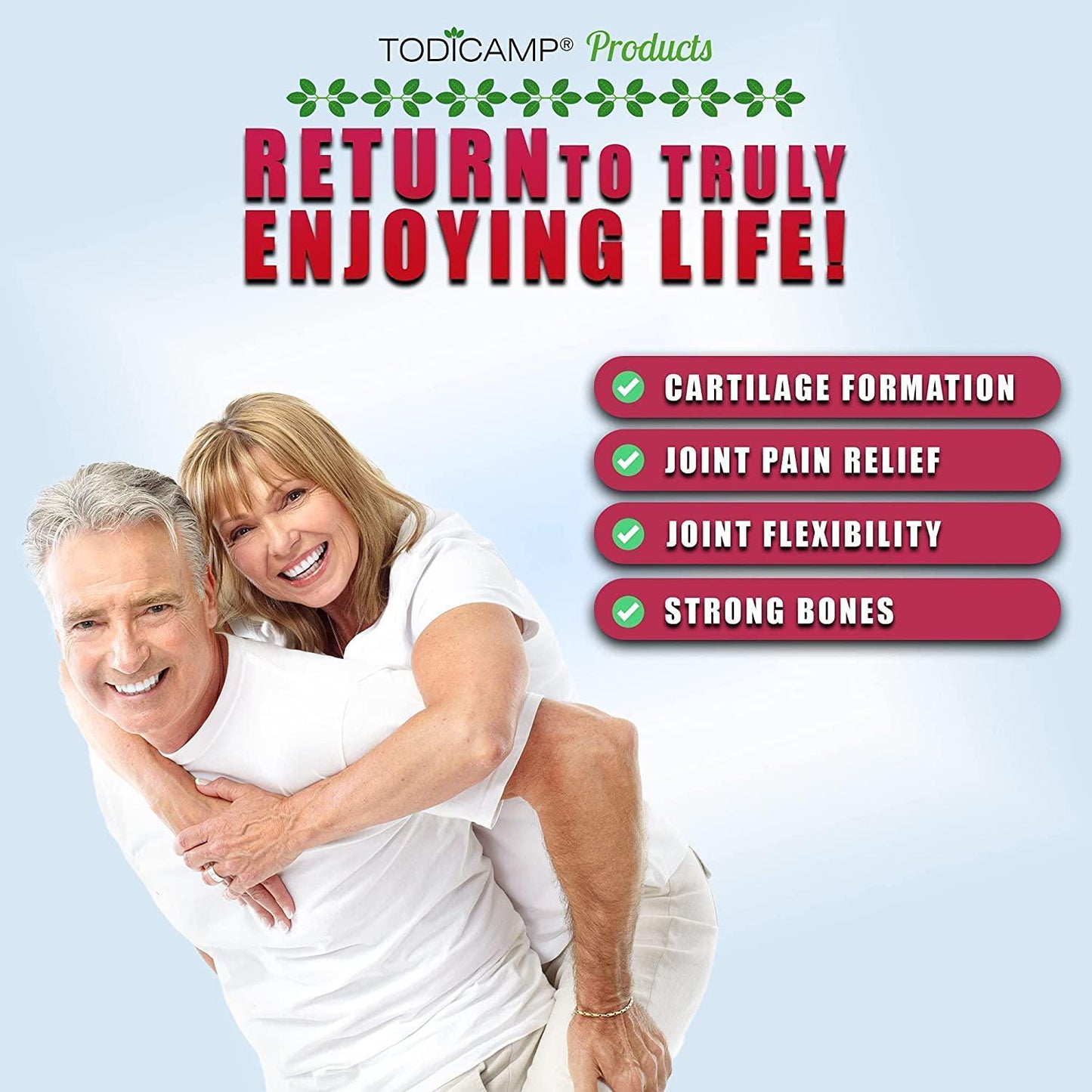 Cartilage Repair Supplement by Todicamp - Glucosamine Chondroitin MSM Turmeric Joint Support Supplement to Move Free - Research Verified Joint Relief - 1 Month Supply 90 Vegetarian Capsules.