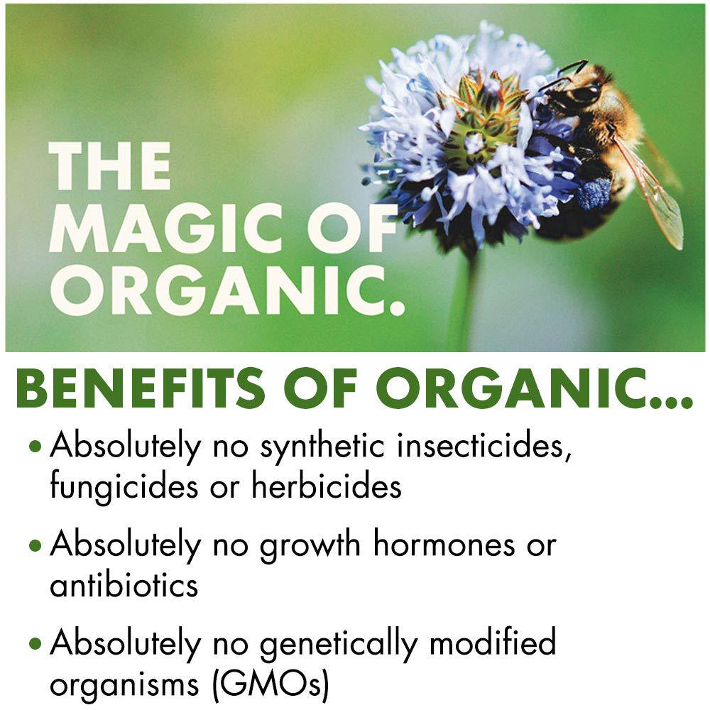 Cascadian Farm Organic Peanut Butter Chocolate Chip Protein Bars, 1.77 oz, 5 ct