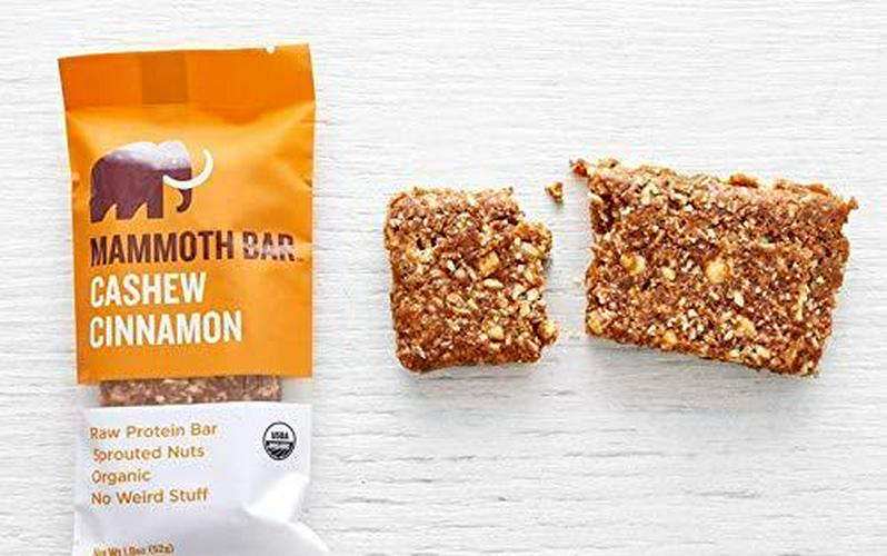 Cashew Cinnamon Bar- Organic, Paleo, Gluten Free and Raw by Mammoth Bar, 10-12g Protein, 1.8 Oz. Bar (10 Bars)