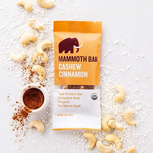 Cashew Cinnamon Bar- Organic, Paleo, Gluten Free and Raw by Mammoth Bar, 10-12g Protein, 1.8 Oz. Bar (10 Bars)