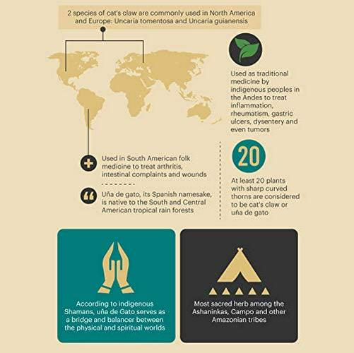 Cat's Claw Tincture, Certified Kosher Cat's Claw Extract, Cat's Claw Drops (Uncaria Tomentosa) Dried Bark Herbal Supplement, Non-GMO in Cold-Pressed Organic Vegetable Glycerin, 700 mg, 2 oz (60 ml)