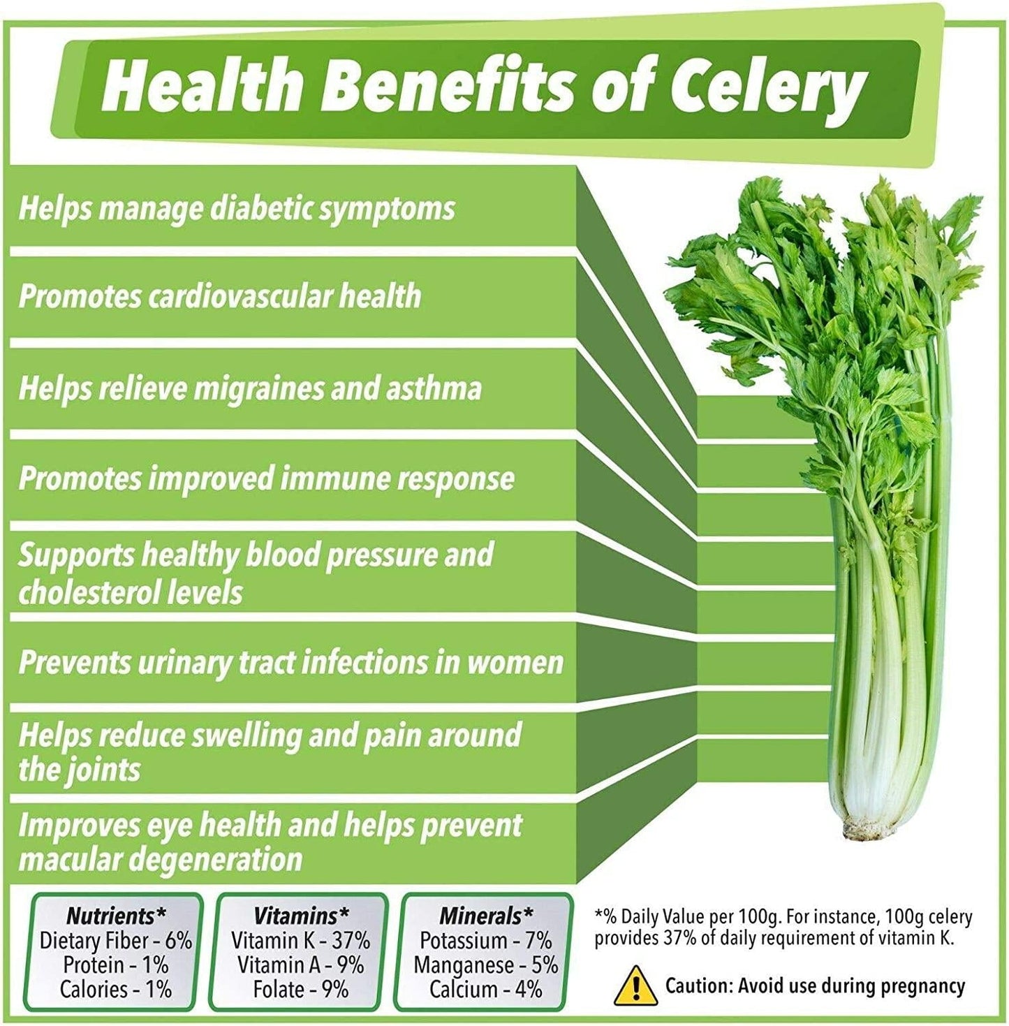 Celery Juice Organic Whole Food Powder, Unflavored, 6.35 oz