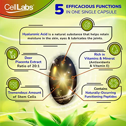 CellLabs OriCenta 100% Natural 2000mg Pure New Zealand Deer Placenta 60 Softgels| Active Stem Cell Rich In Nutrients, Minerals, Vitamins, Antioxidant|Support Healthy Energy Level, Slow Down Skin Aging