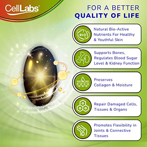 CellLabs OriCenta 100% Natural 2000mg Pure New Zealand Deer Placenta 60 Softgels| Active Stem Cell Rich In Nutrients, Minerals, Vitamins, Antioxidant|Support Healthy Energy Level, Slow Down Skin Aging