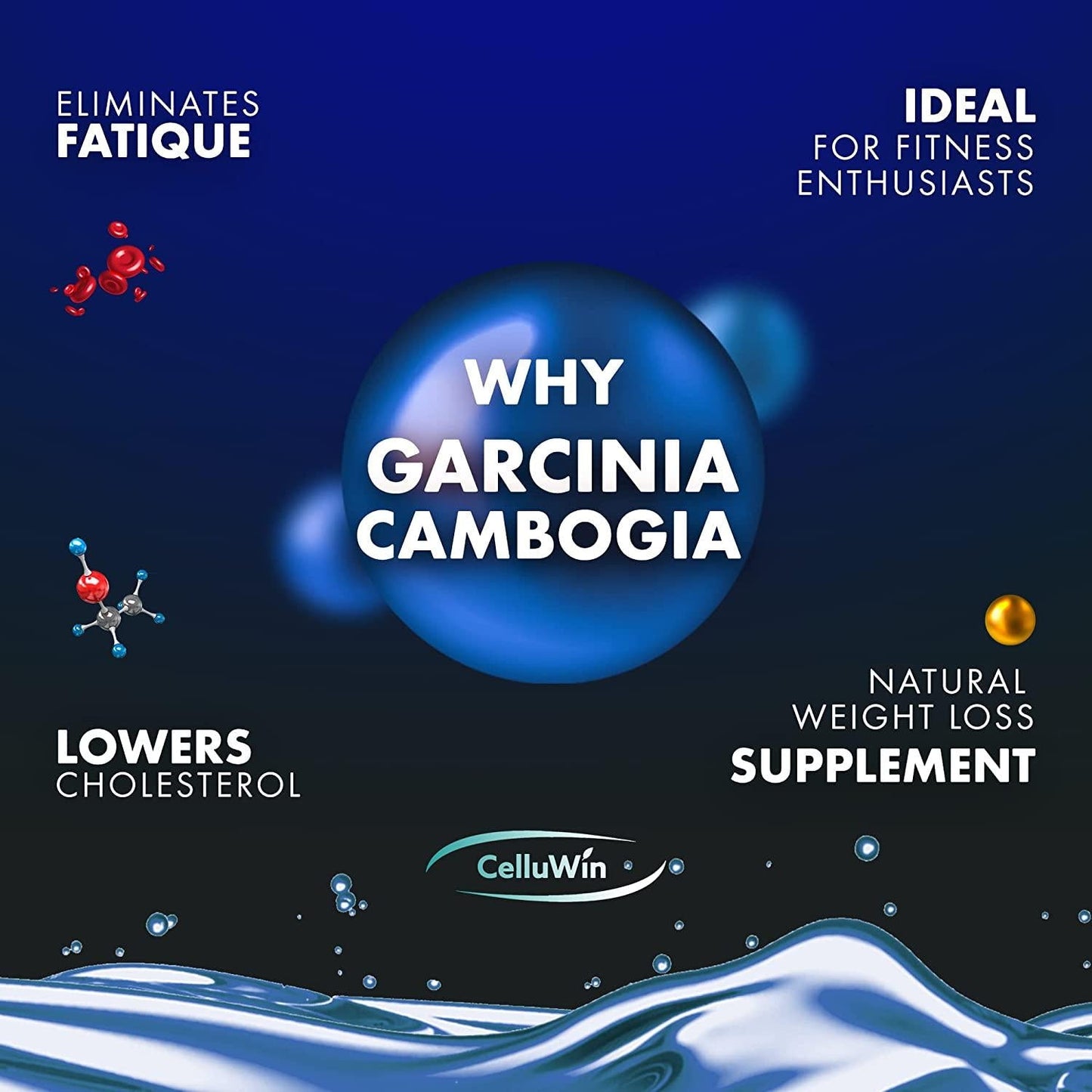 CelluWin - Garcinia Cambogia Elite, Vegan Food Supplement with HCA Extract Plus Calcium for Weight Management and Digestive Cleanse, Pure Garcinia Cambogia Extract for Metabolism Support, 60 Capsules