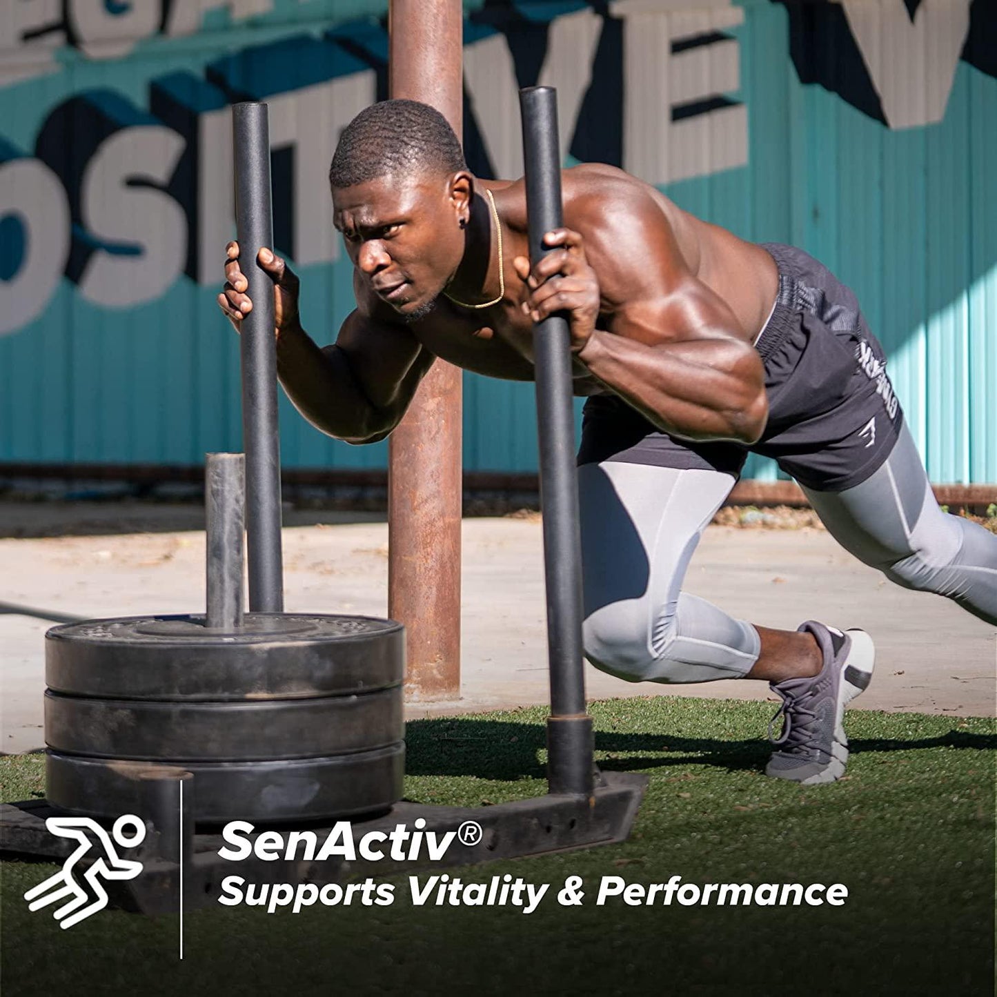 Cellucor P6 Alpha Advanced Testosterone and Strength Booster for Men - Boost Muscle Growth and Strength | Natural Test Booster w/TESTFACTOR, Ginseng, elevATP, DIM, SenActiv and Fenugreek - 90 Veggie Caps