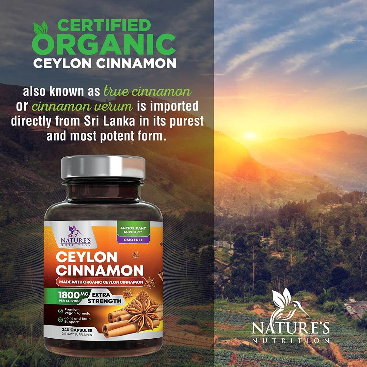 Certified Organic Ceylon Cinnamon (Made with Organic Ceylon Cinnamon) 1800mg - Organic Sri Lanka Ceylon Cinnamon Powder Caps - Best Vegan True Cinnamon Cinnamomum Verum Vitamins - 2400 Capsules