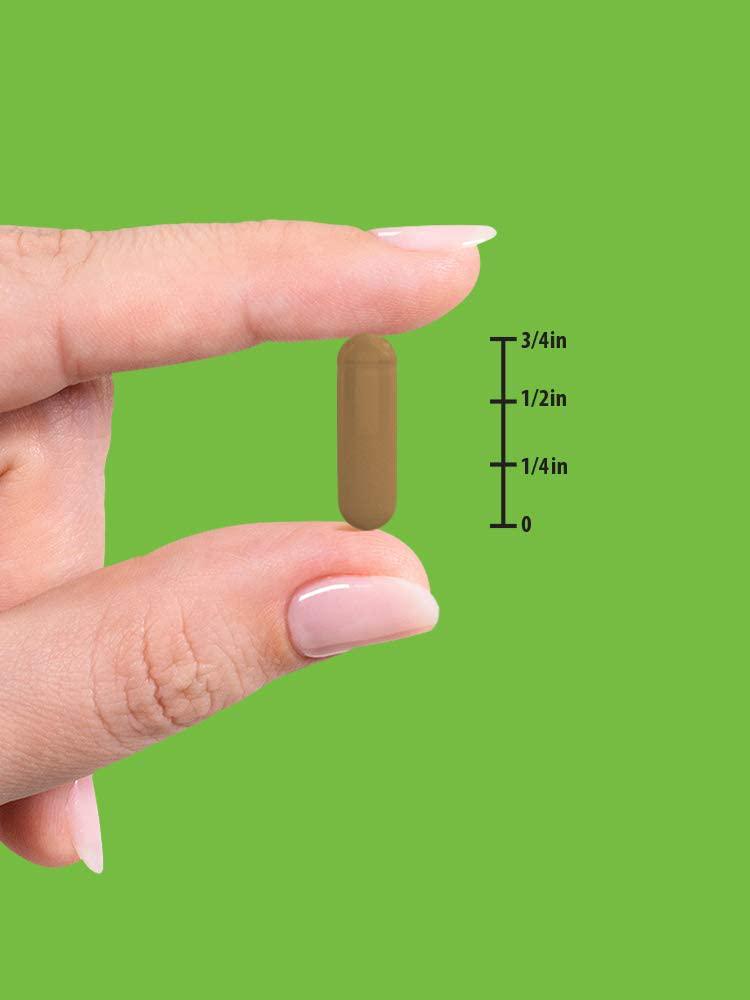 Ceylon Cinnamon Capsules | 2000mg | 60 Count | Non-GMO and Gluten Free | Plus Chromium | by Natures Truth