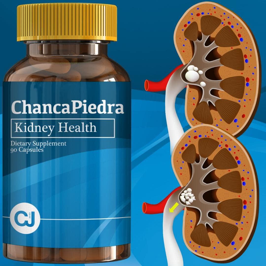 Chanca Piedra 1000mg - 90 Caps (Stone Breaker) | Digestive Supplement for Kidney and Urinary Health
